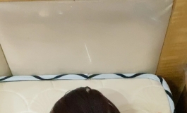 开箱（绝色娇娃）拍几张照。满头大汗的。当健身了