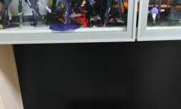 shedoll楚琳1.0开箱（单头）