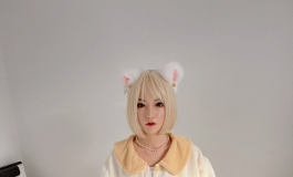 不会有人不喜欢小猫吧