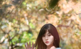 颐和园的秋色