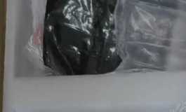 shedoll洛伊开箱，今天才到货