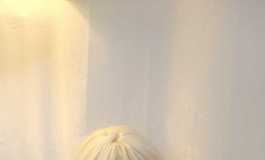 毛茸茸的小乙