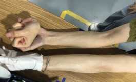把仿真进行到底