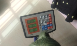 15斤30块，要是不熟我自己吃了她！