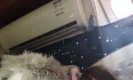 萤火日记02，159菜菜子合照😂带个头套