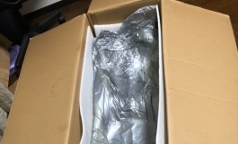 Real lady 170 新人购买经验分享