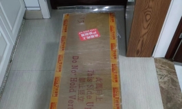 Shedoll开箱分享-165硅胶2.0楚琳
