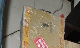 Shedoll开箱分享随拍（全松骨架158tpe楚琳）