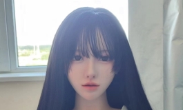 久违了，这次是fudoll家的小北